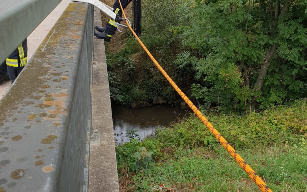 Übung Absturzsicherung