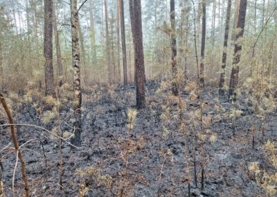 FF Forth 20250502 4 – Feuerwehr Forth